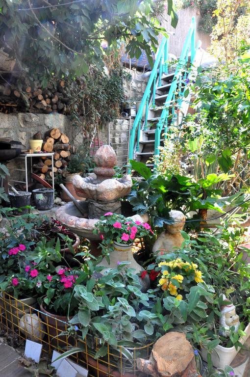 Cozy Garden Apartment Jerusalem Exterior photo