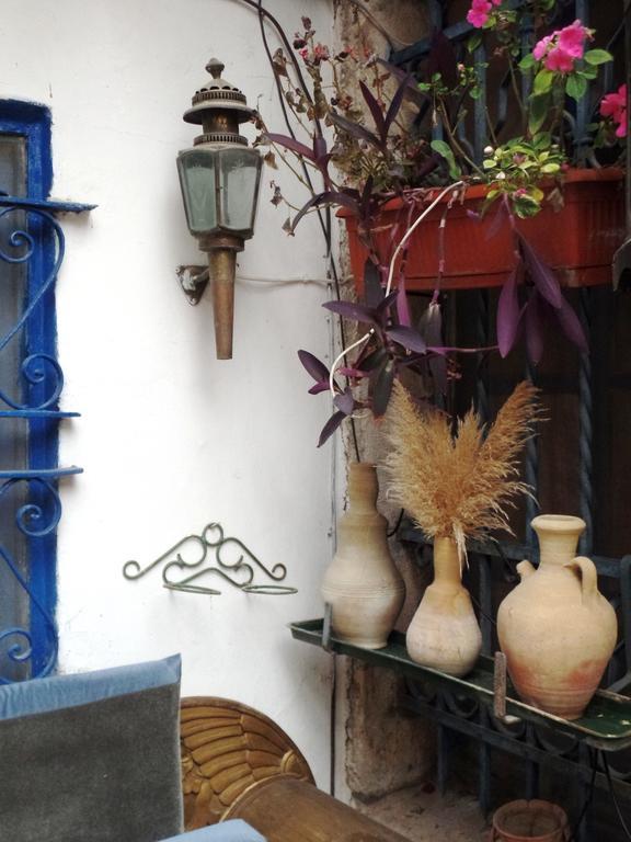Cozy Garden Apartment Jerusalem Exterior photo